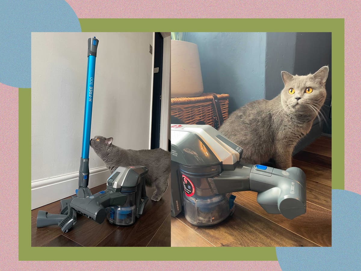 Hoover HFree 300 pets cordless vacuum We review the brand’s budget